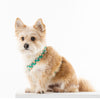 NORADOG Scottie Friends H Harness