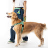 NORADOG Scottie Friends Hands-Free Belt Leash