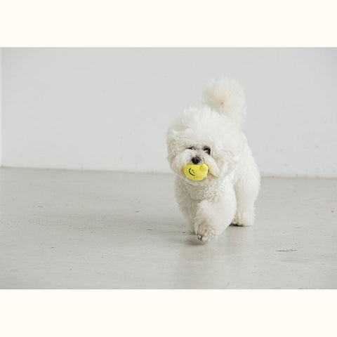 BITE ME x Second Morning Lemonade Nosework Dog Toy