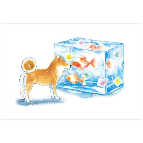 Summer · Shiba Inu and Delicious Summer Postcard [Goldfish Sweets]