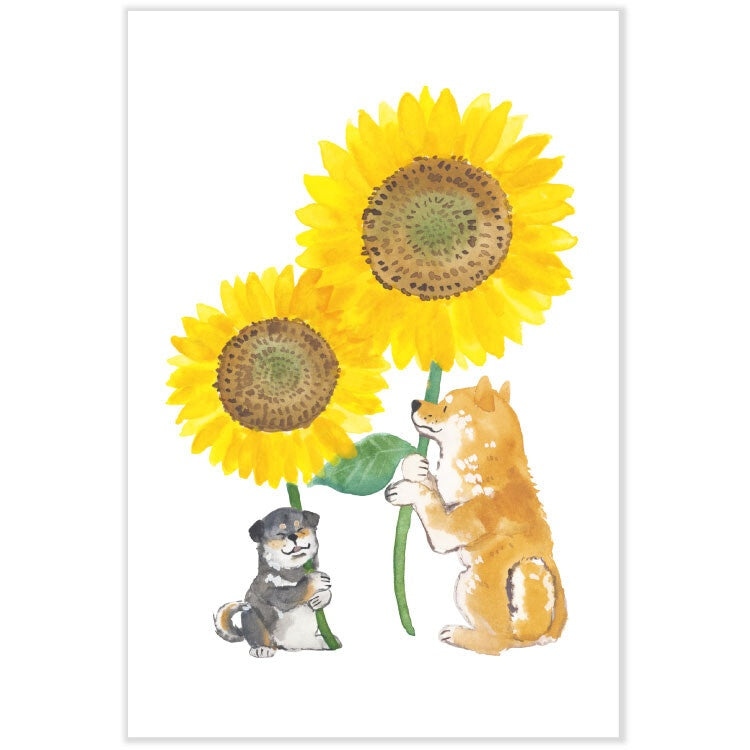 Summer · Shiba Inu and Summer Postcard – Sunflower
