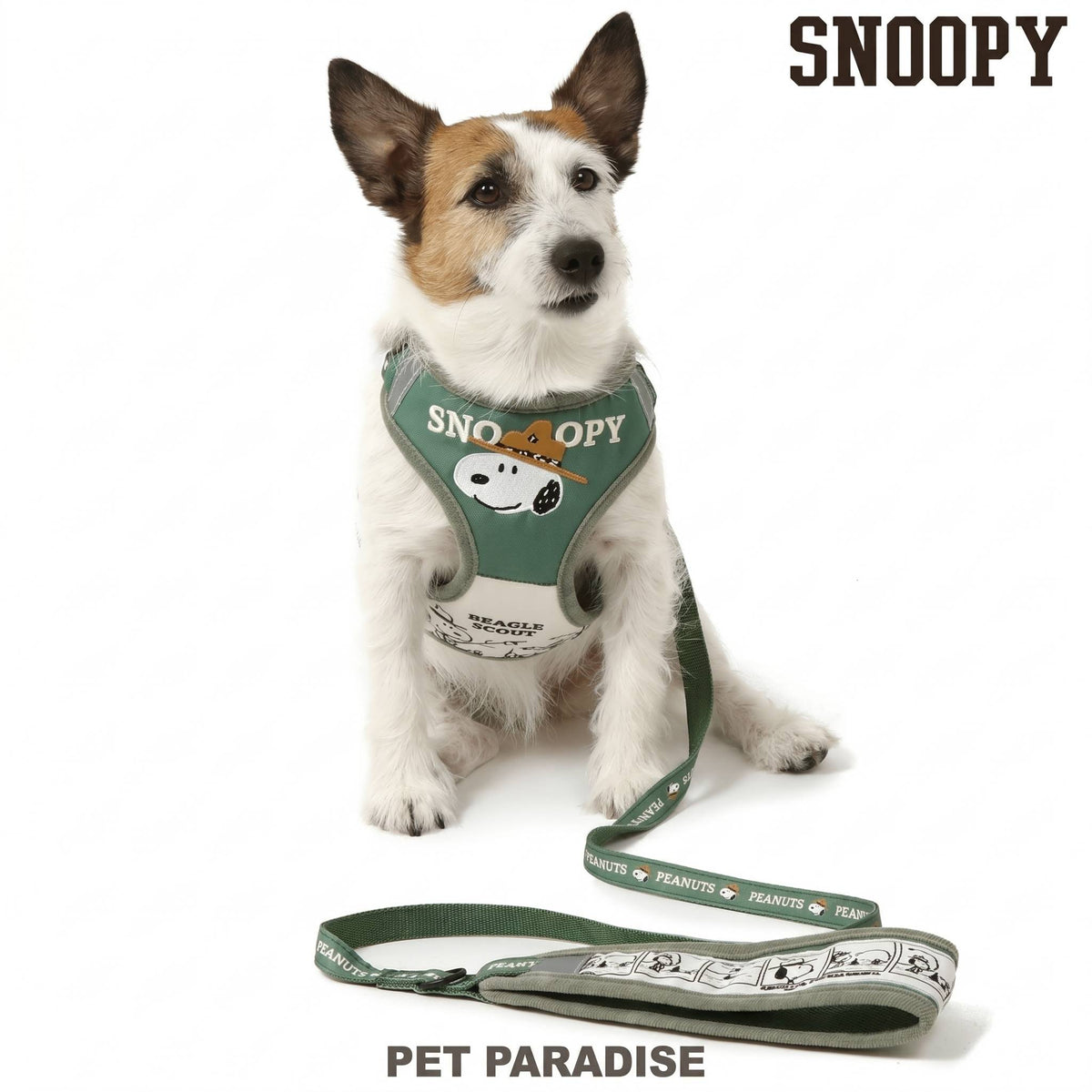 Snoopy 50th Anniversary Beagle Scout Harness & Leash Set