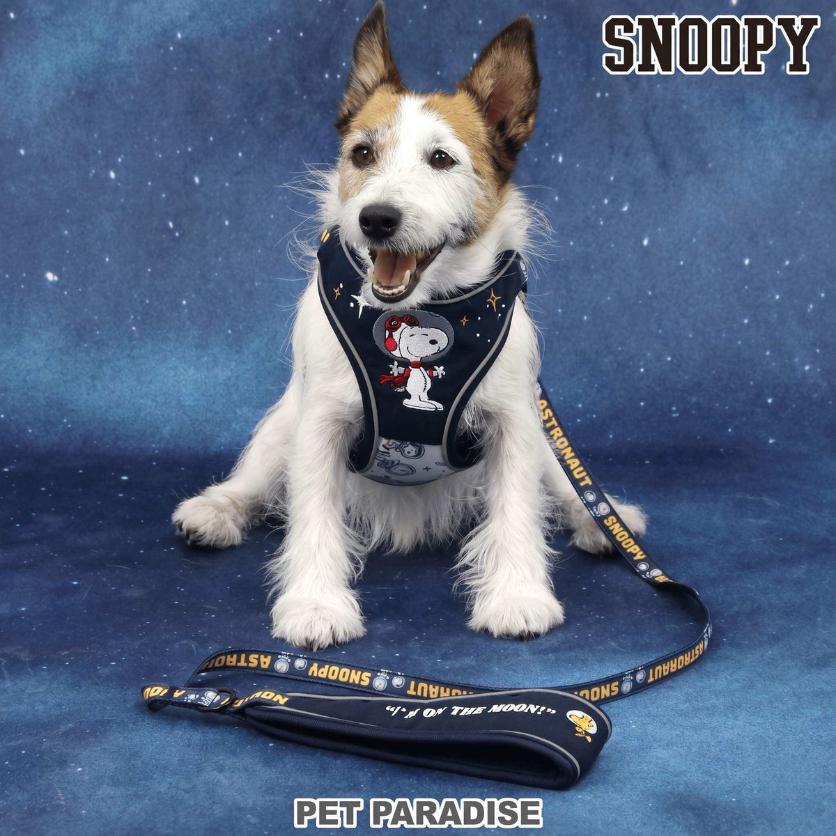 Snoopy Astronaut Dog Harness & Leash Set