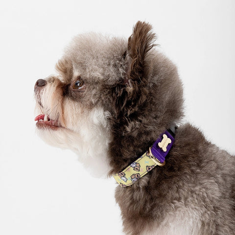 NORADOG SomSom Collar