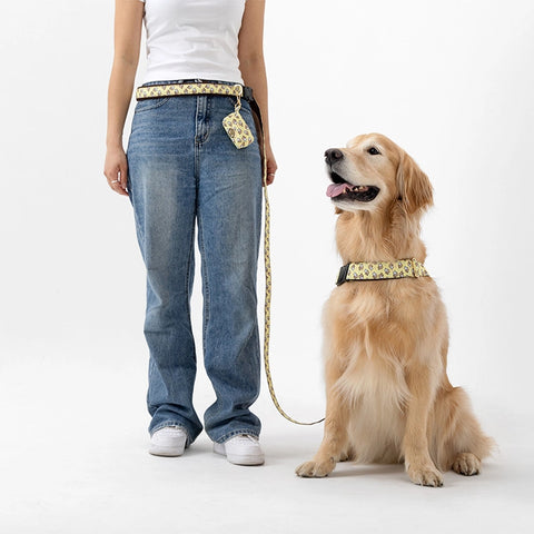 NORADOG SomSom Belt Leash