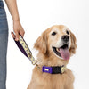 NORADOG SomSom Collar