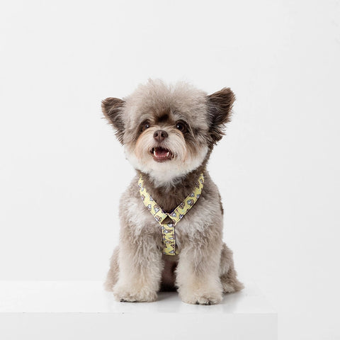 NORADOG SomSom H Harness 2color
