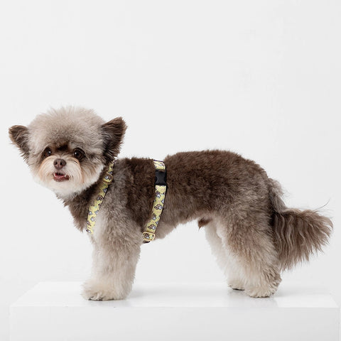 NORADOG SomSom H Harness 2color