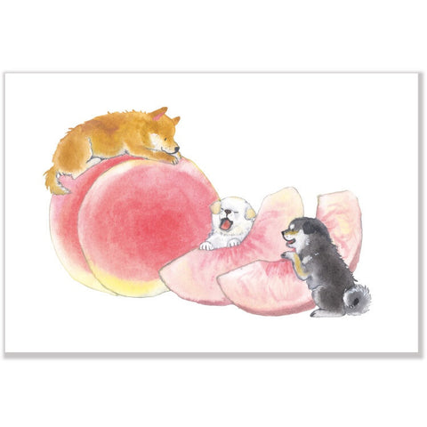 Summer Shiba Inu & Delicious Summer Postcard – Peach
