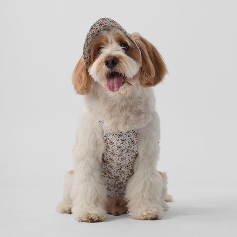 NORADOG Teddy C Bucket Hat for Dog