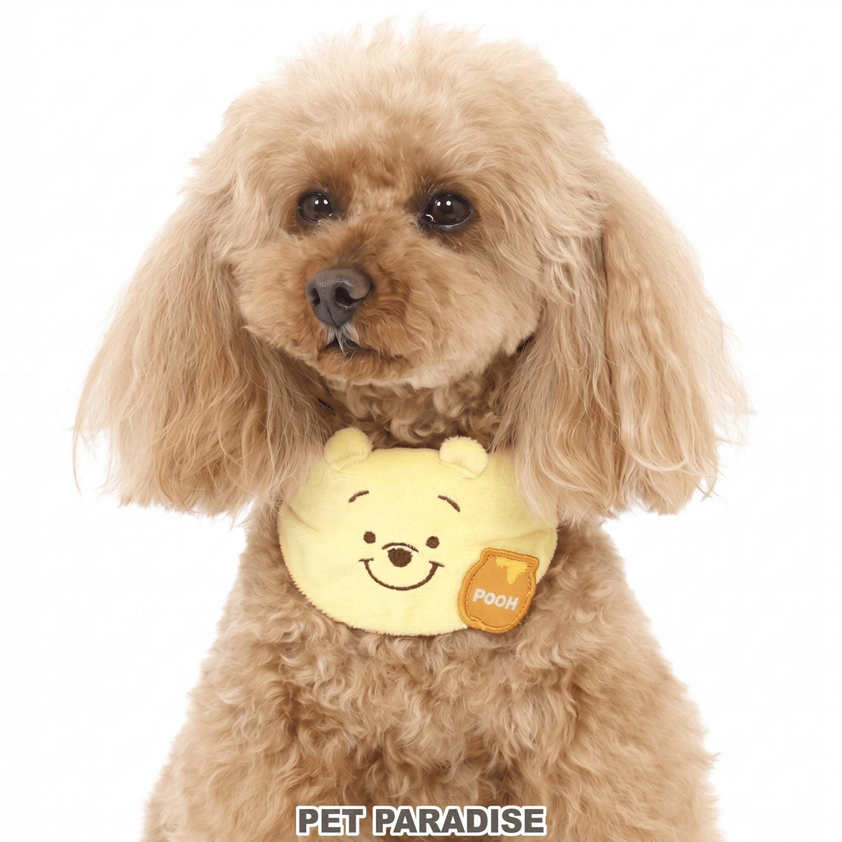 Winnie the Pooh Collar [S] "Smiley Face"