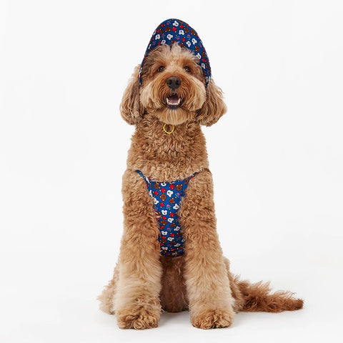 NORADOG WooZoo Bucket Hat for Dog