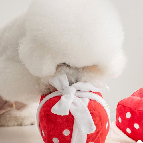 [Biteme] Gift Box Nosework Toy image 1
