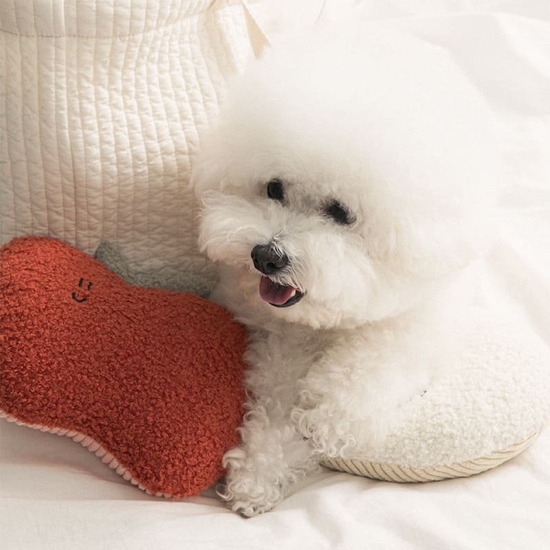 [Biteme] BonBon Green My Home Buddy Cushion (3 type) image 7