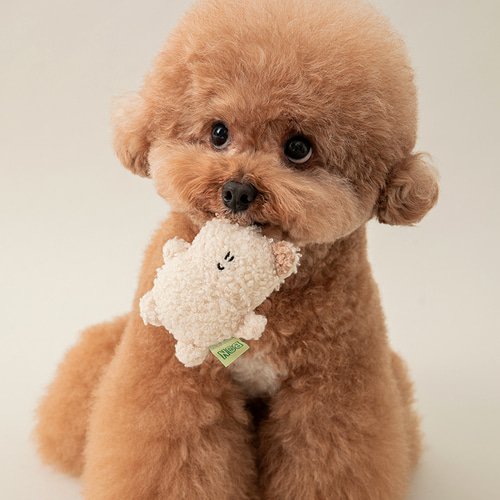 [Biteme] BonBon Green Furry Friends Mini Squeaky toy image 5