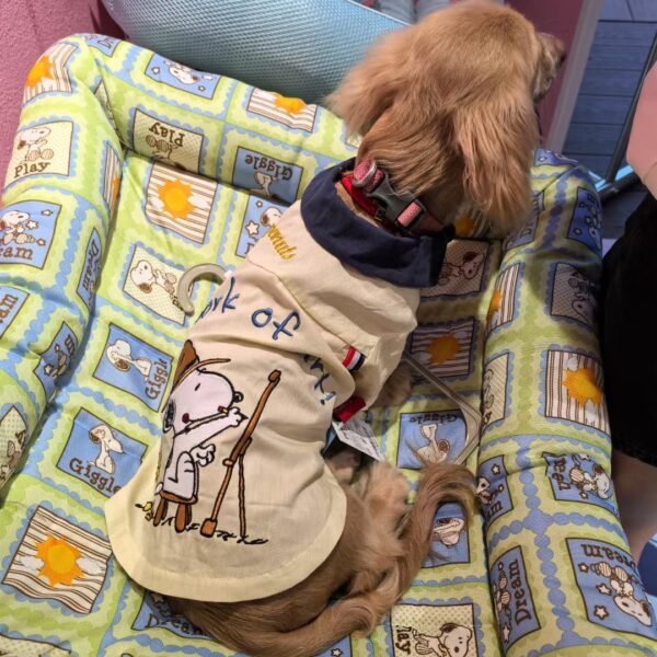 Snoopy Artist Shirt