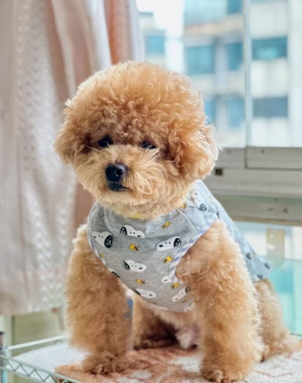 Snoopy & Woodstock Button-Up Dog Vest - Image 3