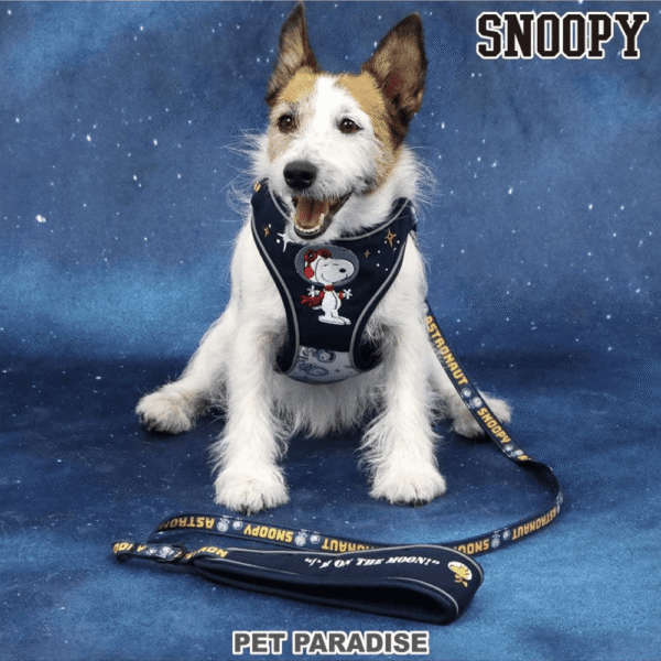 [PET PARADISE] Snoopy Astronaut Dog Harness & Leash Set