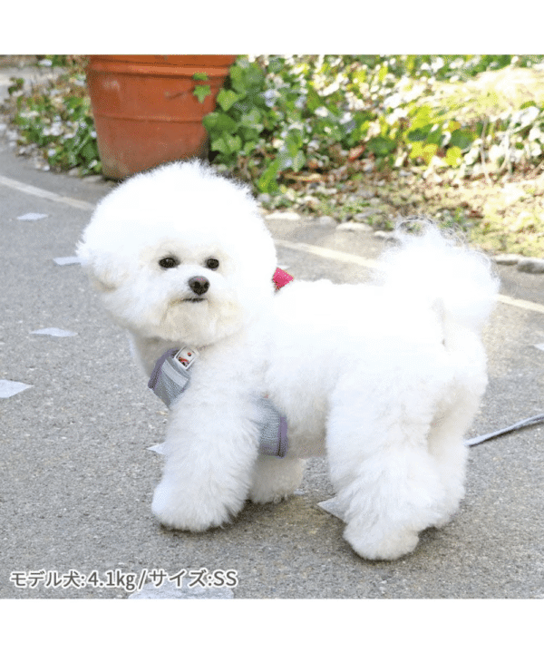 [PET PARADISE] Disney Toy Story Dog Harness with Lotso Plush Mascot - Image 3