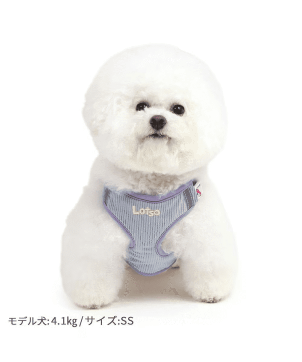 [PET PARADISE] Disney Toy Story Dog Harness with Lotso Plush Mascot - Image 4