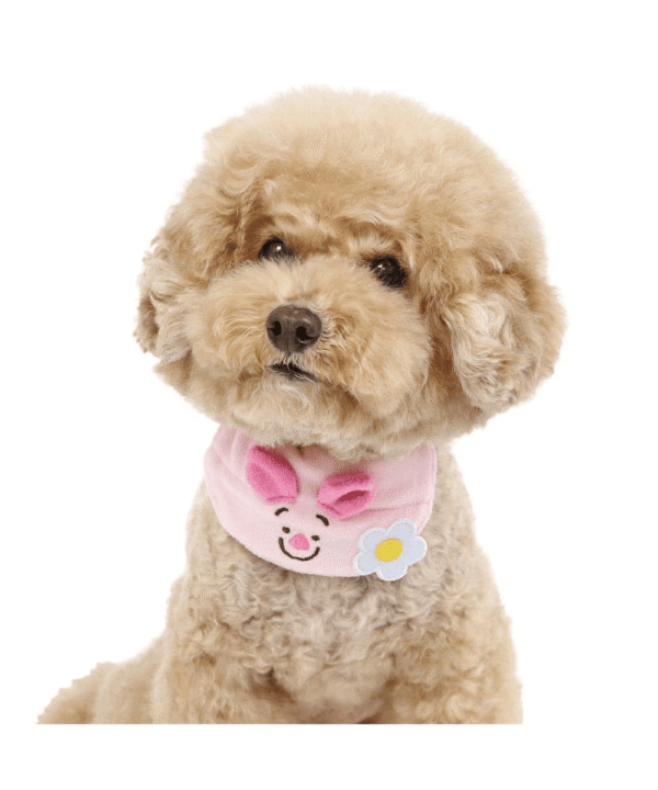 [PET PARADISE]  Disney Piglet “Smile” Collar - S Size Only - Image 7