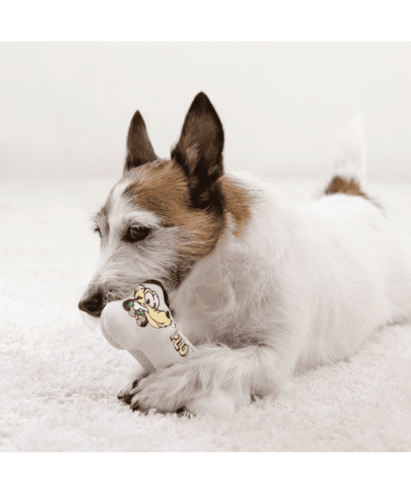[PET PARADISE] Disney Pluto Ribbon Bone Toy – Squeaky Plush Dog Toy - Image 7