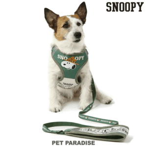 [PET PARADISE]  Snoopy 50th Anniversary Beagle Scout Harness & Leash Set