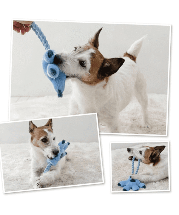 [PET PARADISE] Disney Stitch Hand Rope Toy – Squeaky Plush Dog Toy - Image 2