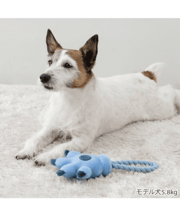 [PET PARADISE] Disney Stitch Hand Rope Toy – Squeaky Plush Dog Toy - Image 5
