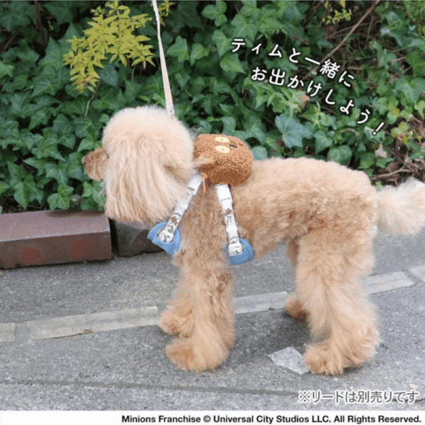 [PET PARADISE] Minions Tim Dog Harness with Plush Backpack - Image 11