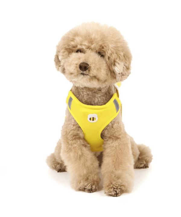 [PET PARADISE]  Disney Winnie the Pooh Dog Harness with Plush Mascot - Image 4
